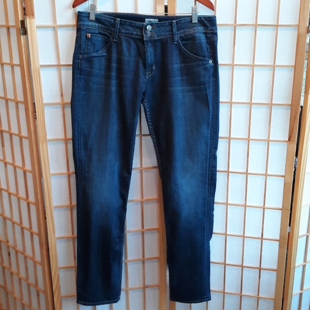 Hudson Jean's Collin Flap Skinny Jean